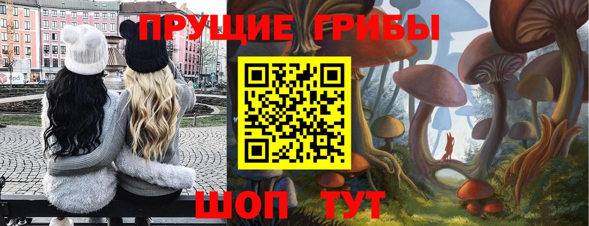 Галлюциногенные грибы Magic Shrooms  Вход с VPN  Лесной 