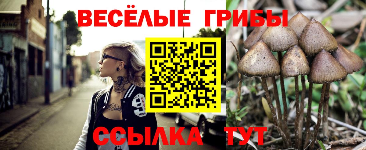 Галлюциногенные грибы GOLDEN TEACHER Лесной