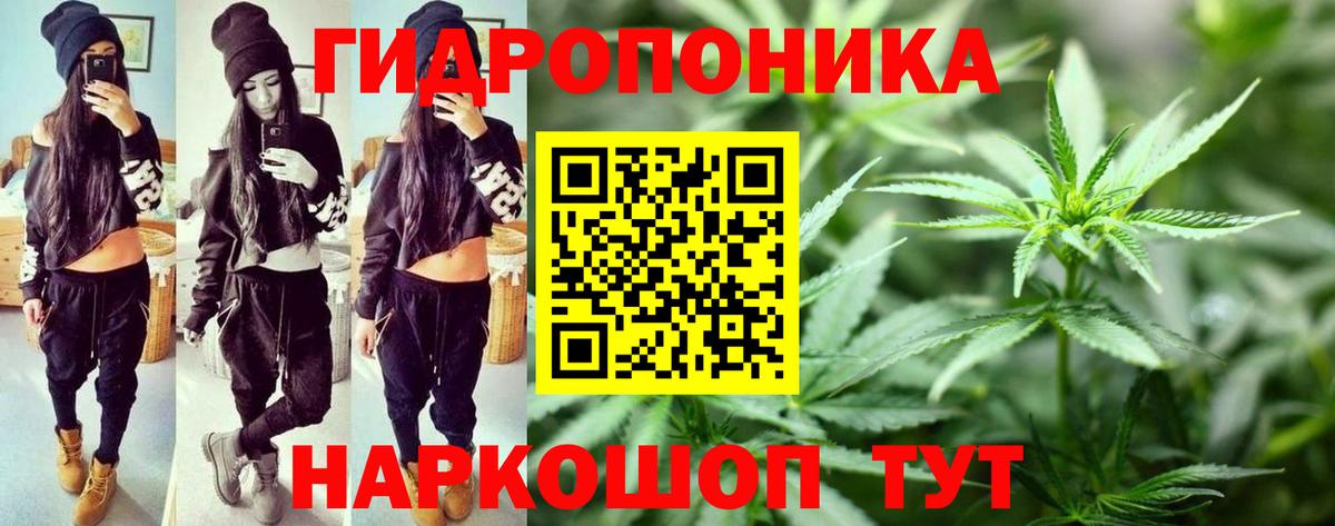 Конопля AK-47  Каннабис конопля  Бошки Шишки гибрид  Вход с VPN  Лесной 